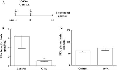 <mark class="highlighted">Palmitoylethanolamide</mark> Supplementation during Sensitization Prevents Airway Allergic Symptoms in the Mouse
